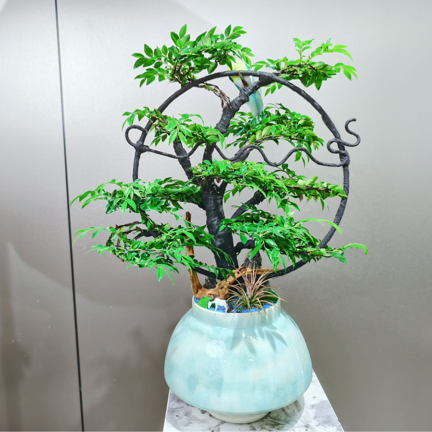 小叶紫檀黑骨茶盆景造型植物室内客厅办公室书房绿植桌面盆栽好养