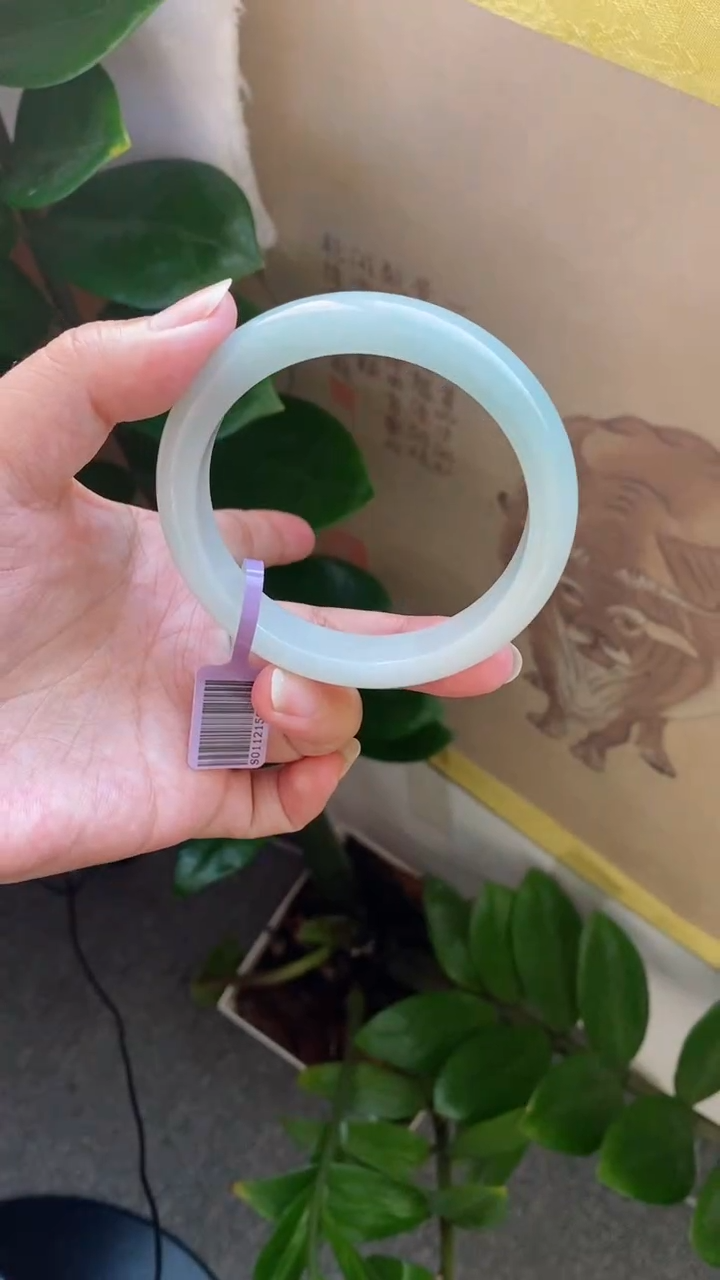 【闪购商品】翡翠手镯未镶嵌（冰胶晴蓝）11号