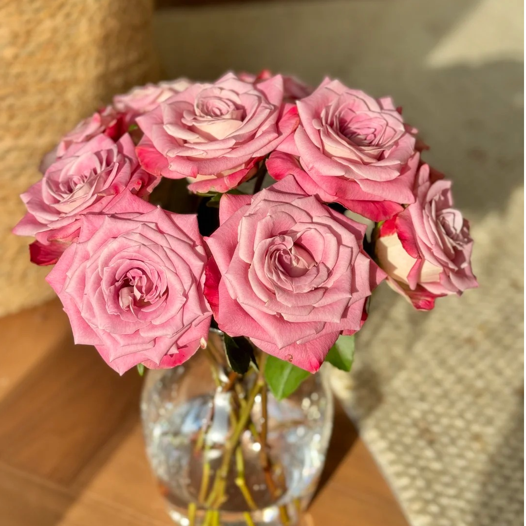 【大聪明卖花】经典艾莉森玫瑰 任意两单花材升级顺丰冷链或德邦