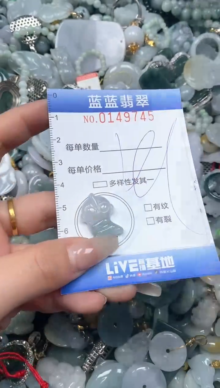 【闪购商品】翡翠颈饰未镶嵌闪购0149745