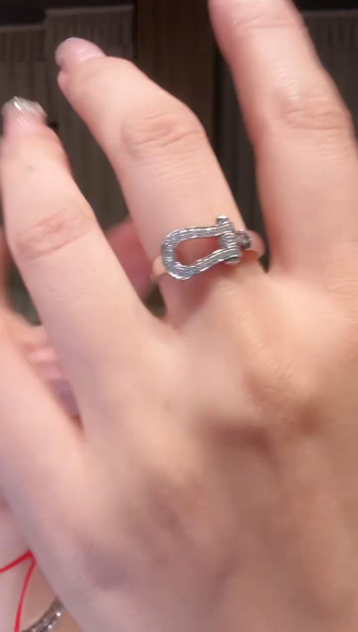 铂Pt950镶嵌戒指钻石AY0282-PT-