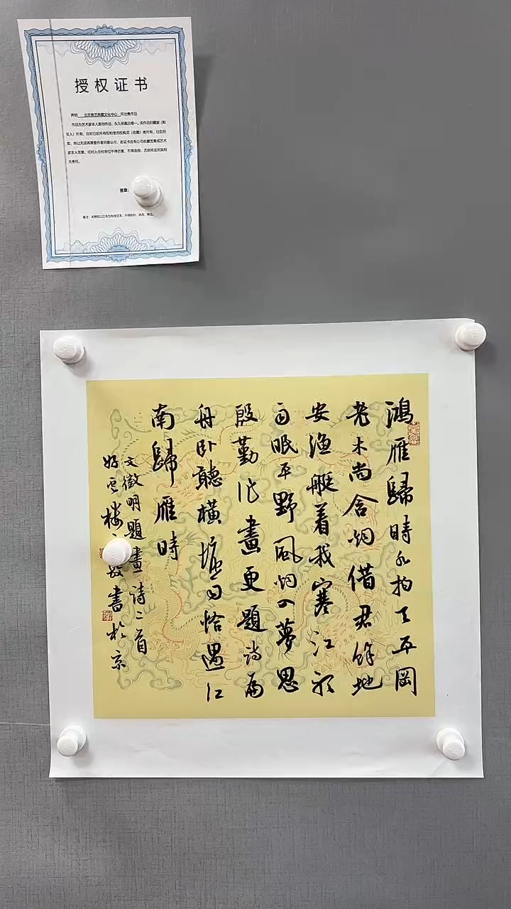 【闪购商品】书法雅艺典藏文化书法
