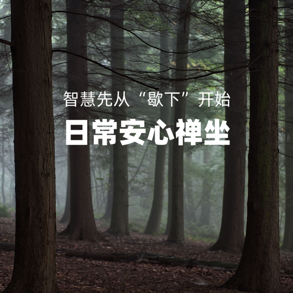 日常安心禅坐 (拍课后留意短信息 进入链接学习）