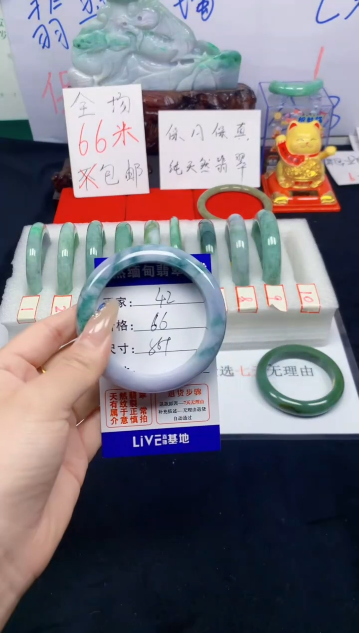 未镶嵌手镯翡翠42