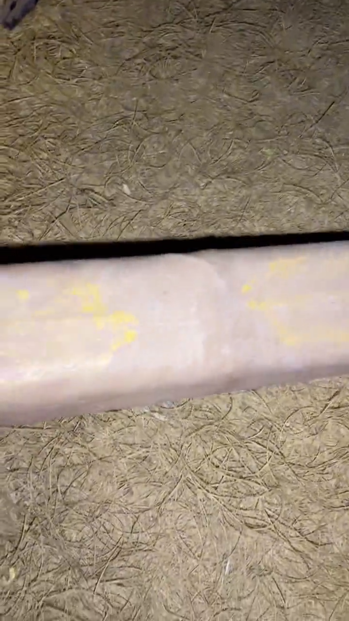 香榧木一一一一一一一一福利