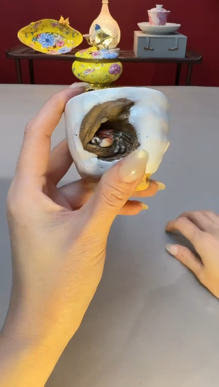 【闪购商品】瓷片杯杯杯杯杯杯杯杯0208