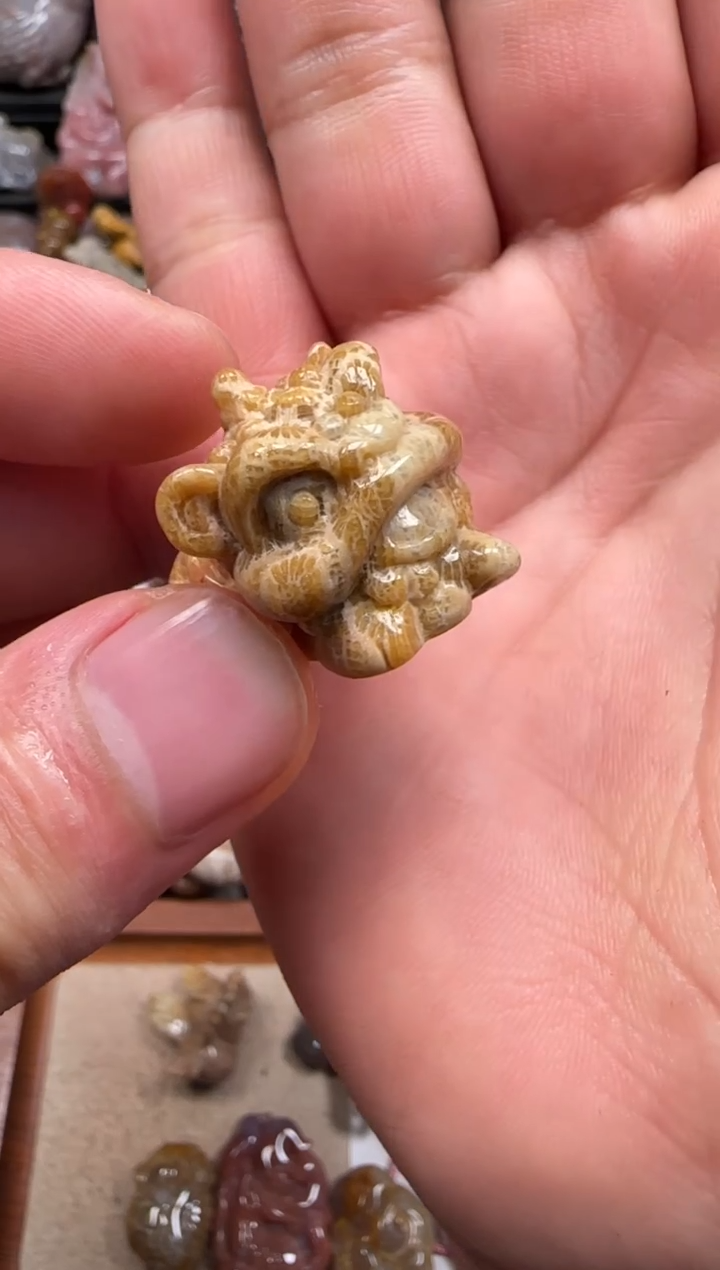 【闪购商品】硅化珊瑚（珊瑚玉）颈饰未镶嵌591