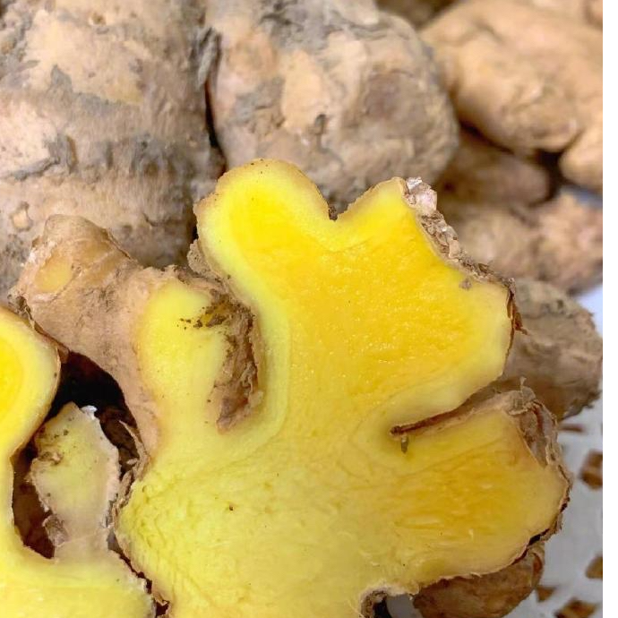 贵州本地小黄姜老姜姜味浓姜丝密集