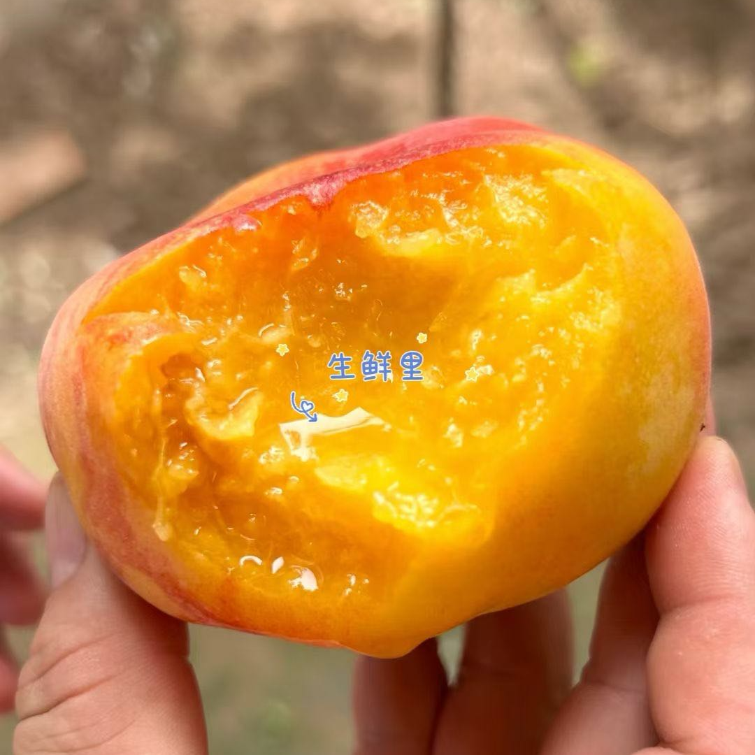 【新疆包邮】新疆石河子黄肉蟠桃