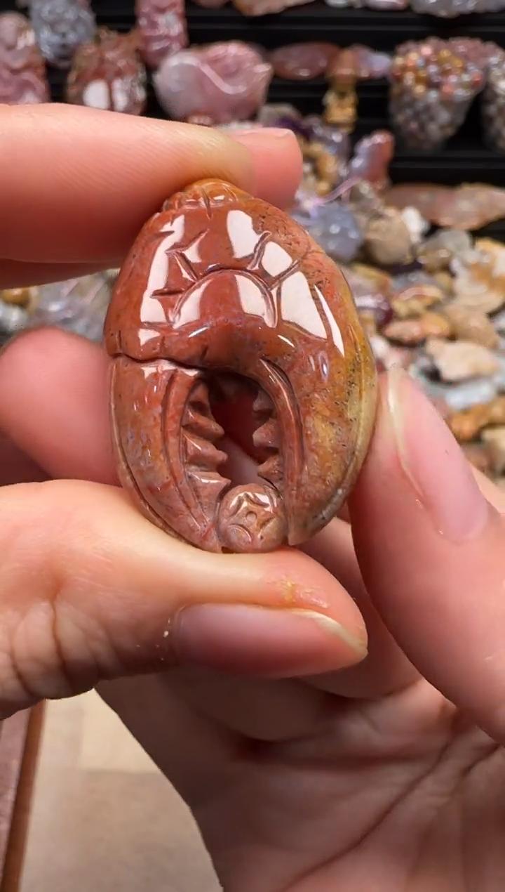 【闪购商品】硅化珊瑚（珊瑚玉）颈饰未镶嵌184