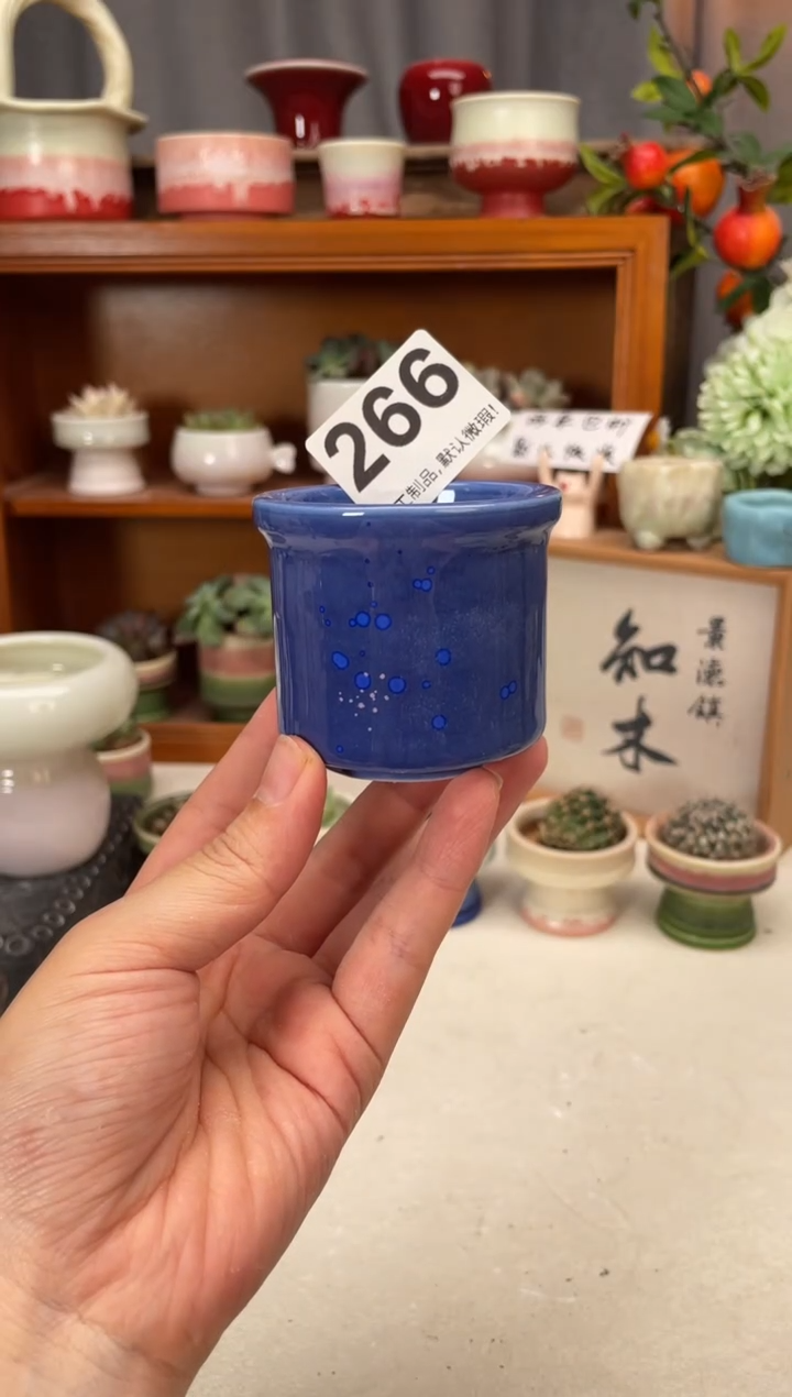 瓷片266知木小芳花盆