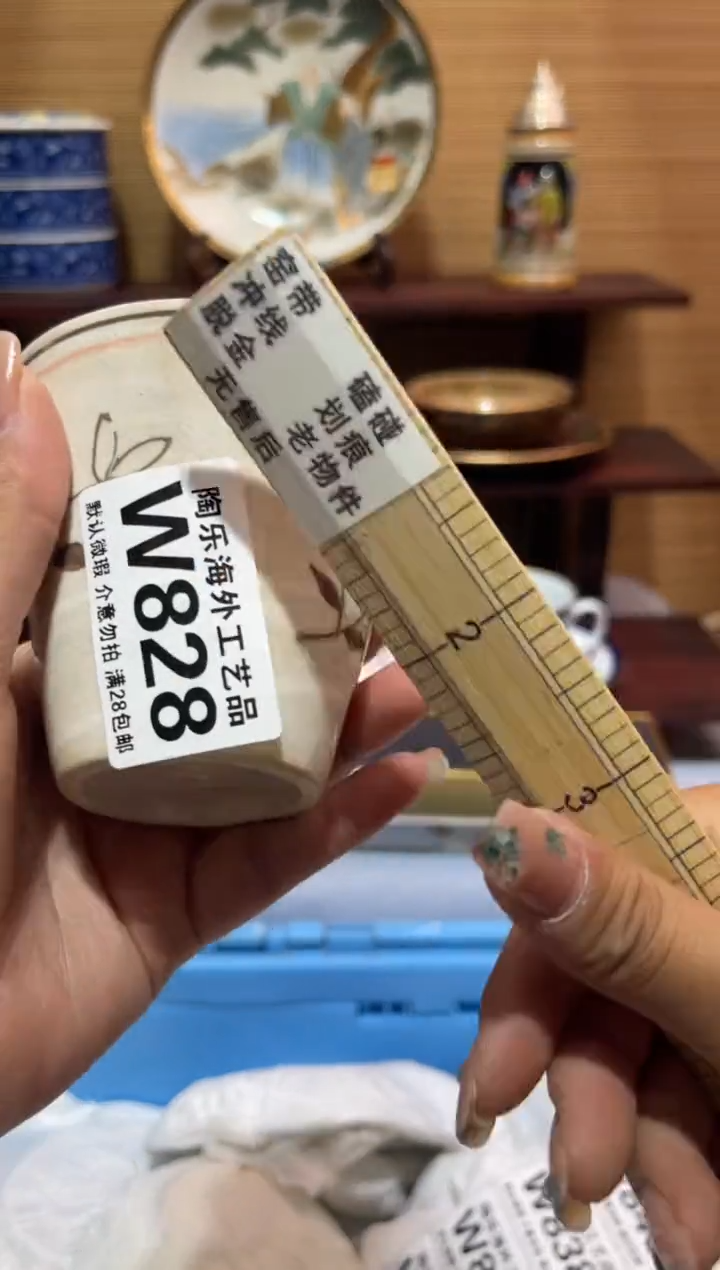 其他香****肉         W828