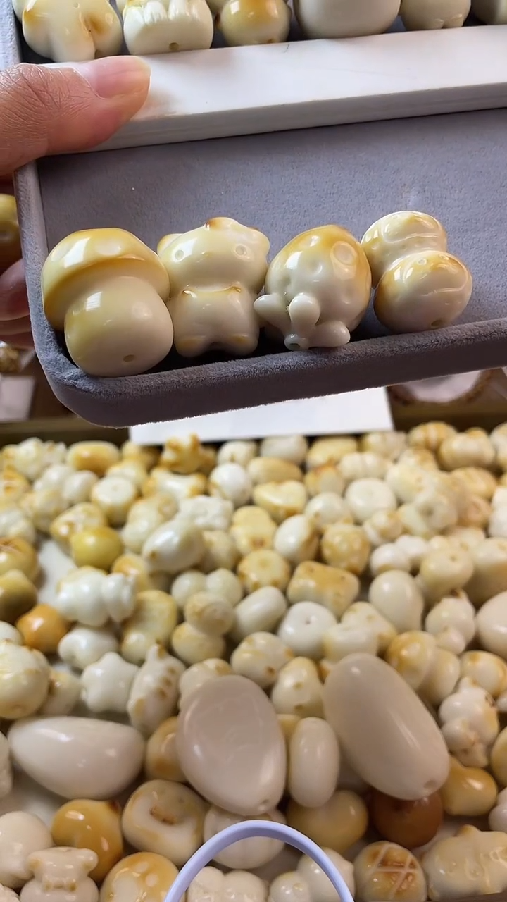 把件菩提根/象牙果331