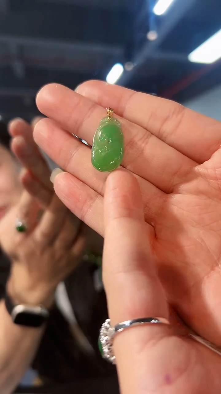 【闪购商品】翡翠颈饰18K金镶嵌缅料A货/支持复检/一件