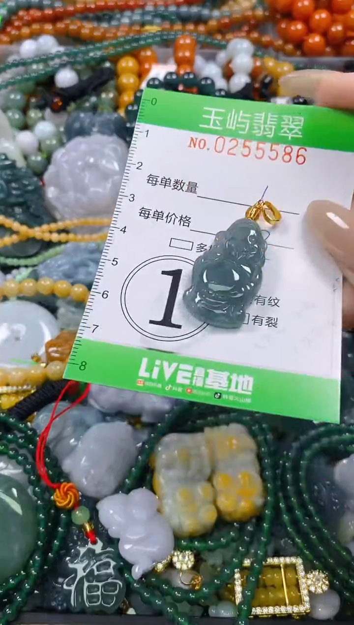 颈饰未镶嵌翡翠闪购0255586