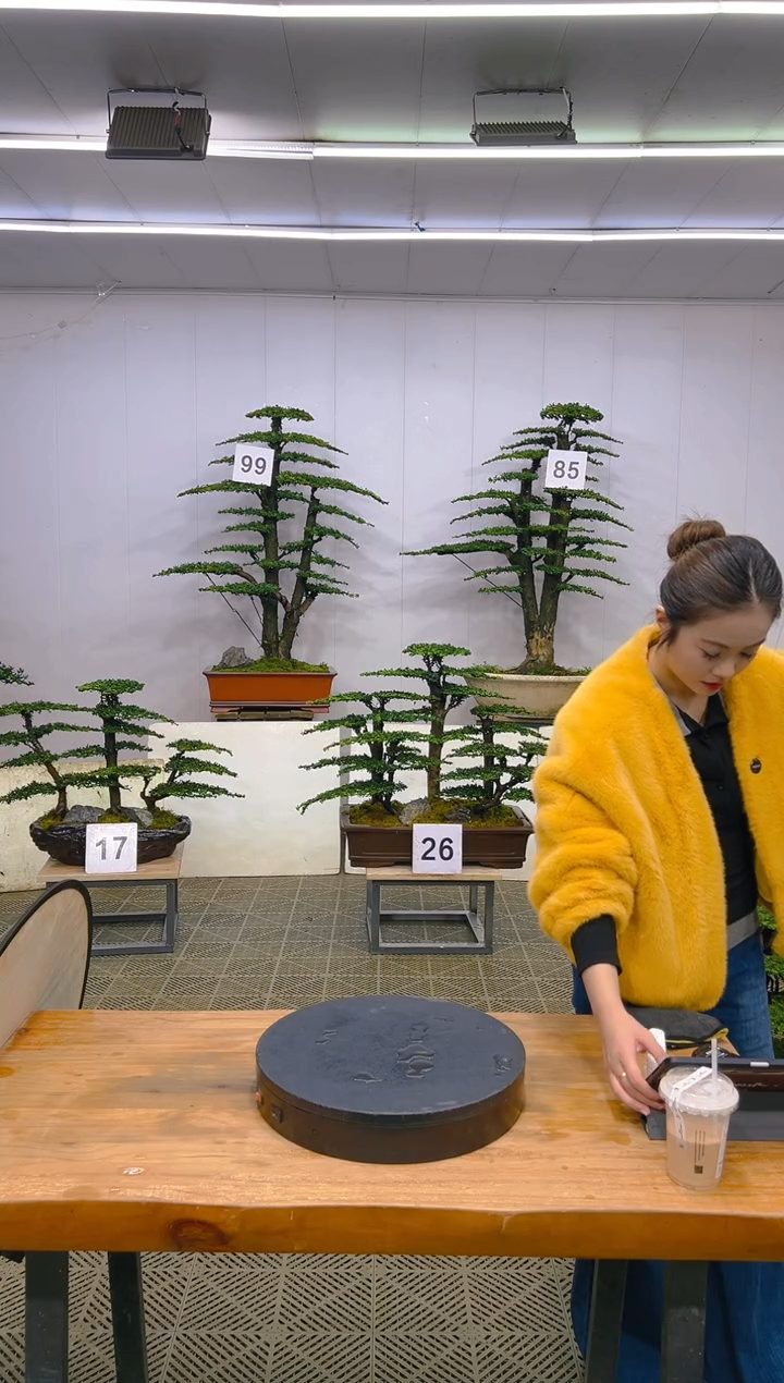 无花朵一物一拍一物一拍