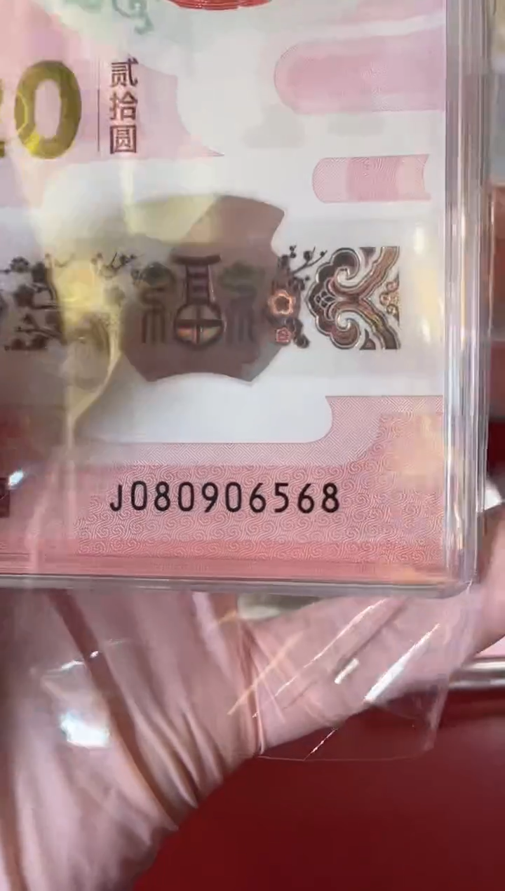 【闪购商品】塑料25蛇钞080906568单张裸