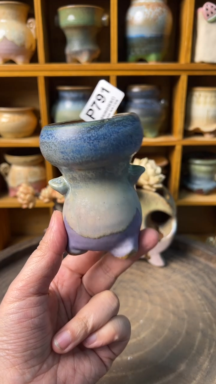 791 内口5【多肉花盆多肉盆】