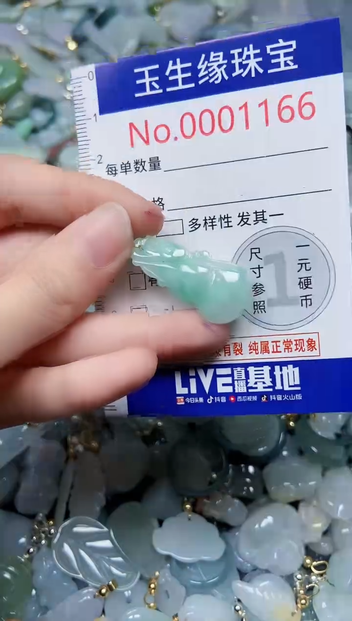 【闪购商品】翡翠颈饰未镶嵌闪购00001166