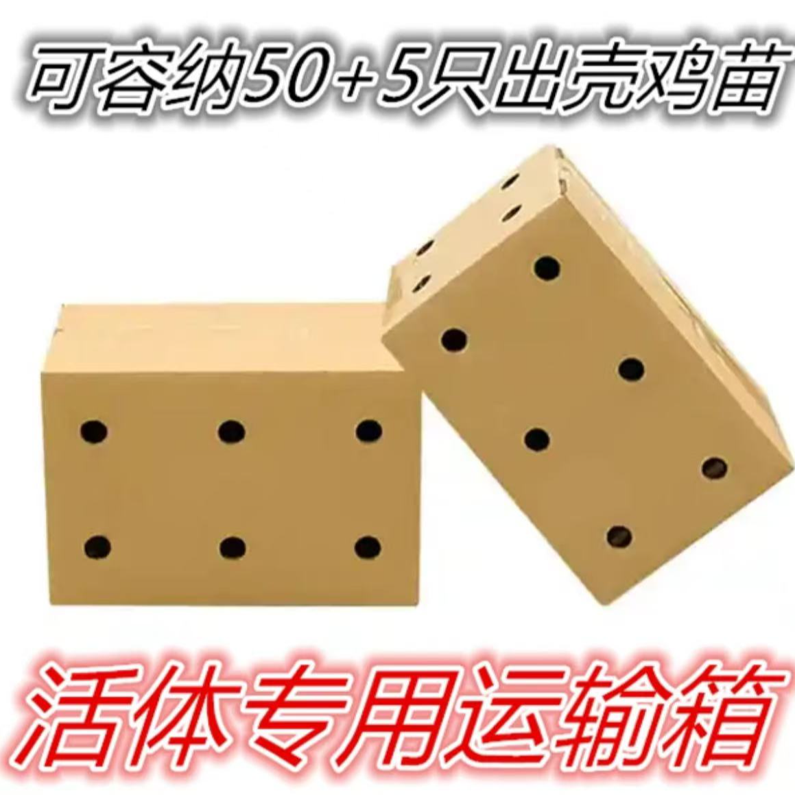 万羽鸡崽专用保温纸箱运输可装50+5个出壳