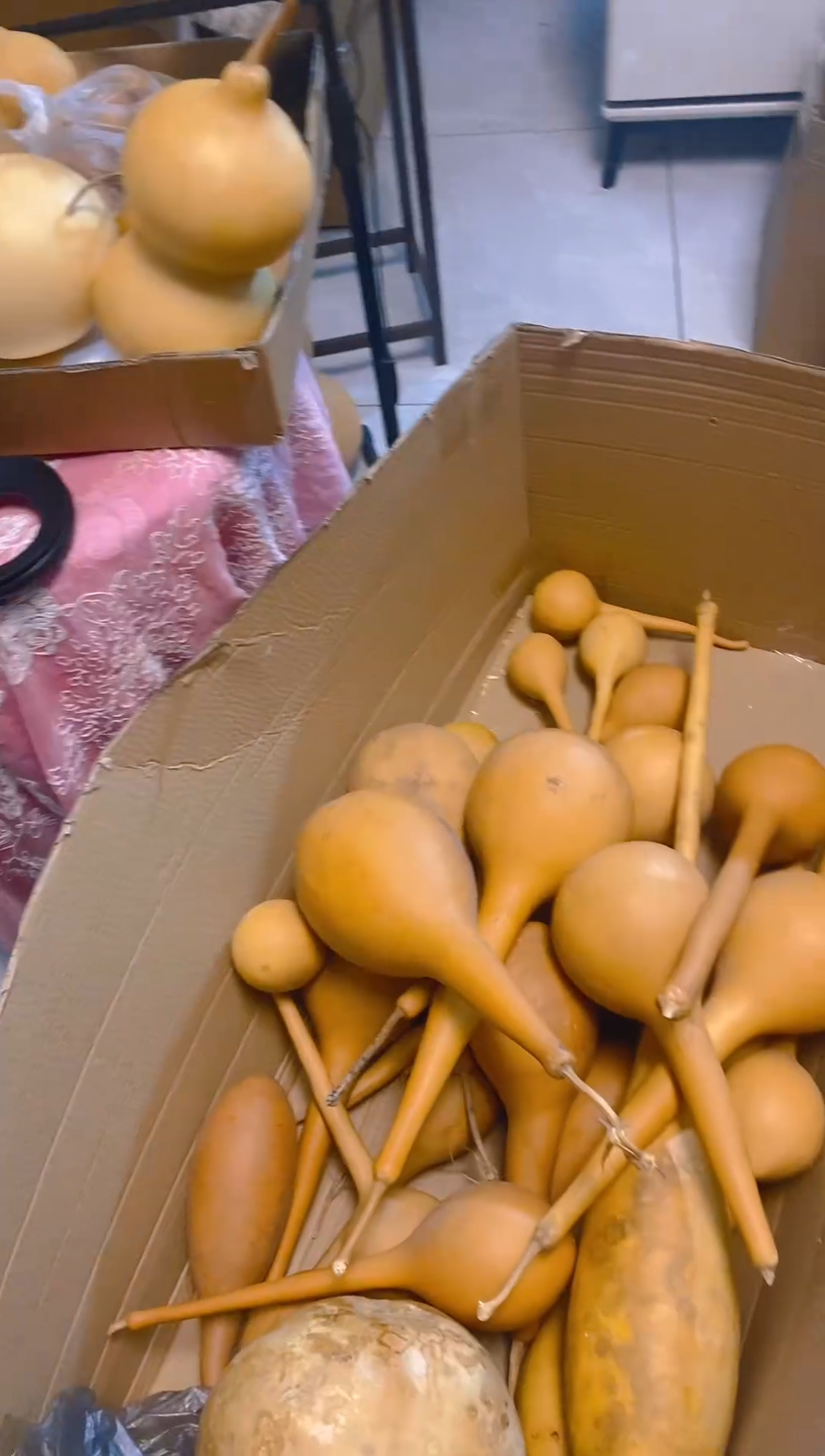 阿萨大大飒飒大苏打