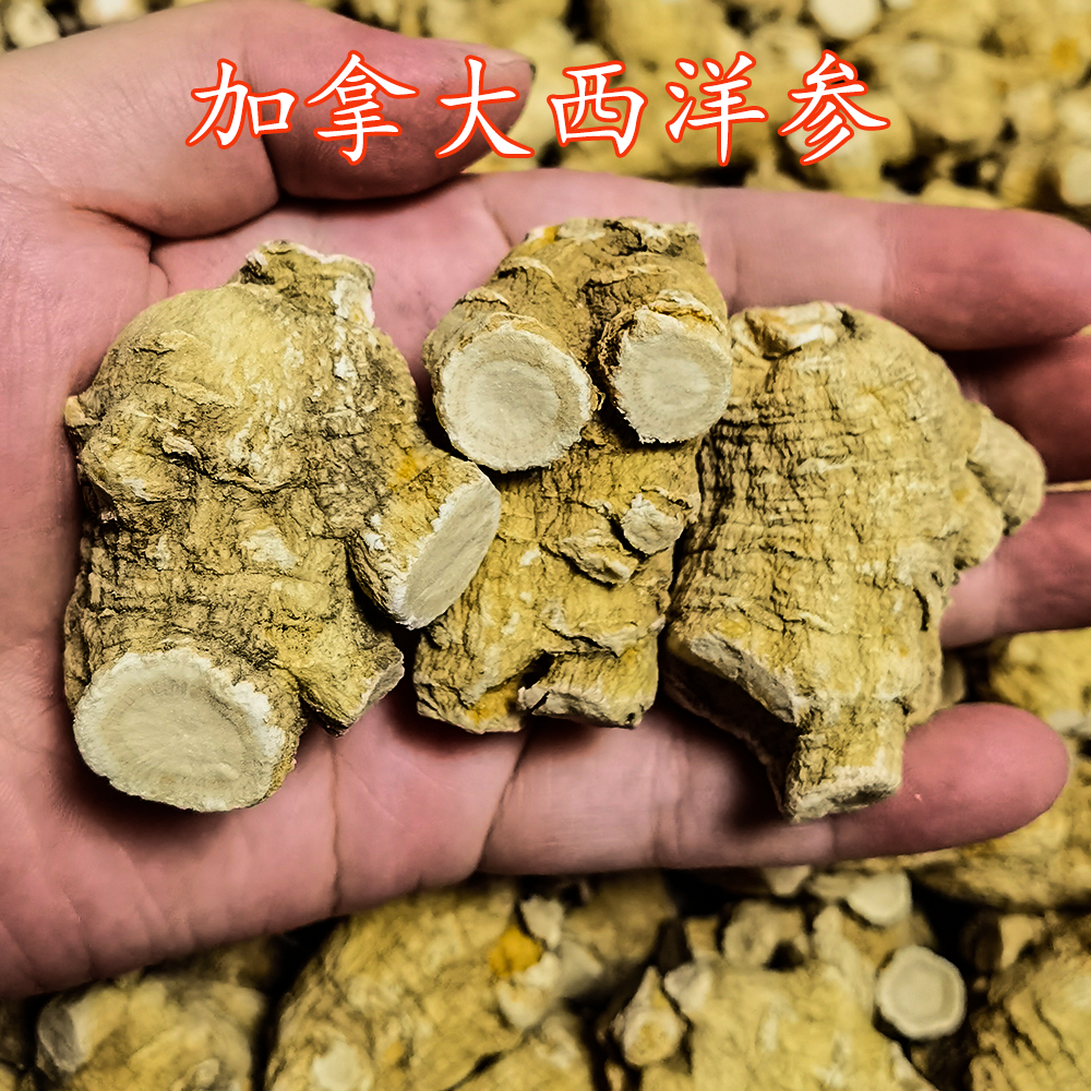 加拿大西洋参 25克粒头超高品质整根送长辈送礼泡茶煲汤