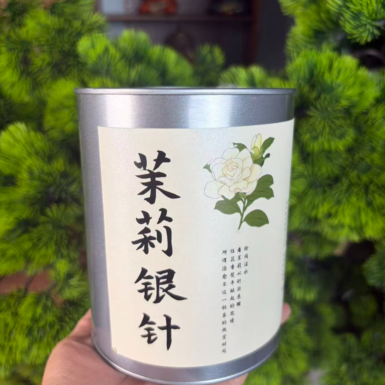 头春茉莉花茶茉莉银针王天然七窨横县茉莉花茶飘雪银针60克CC9546