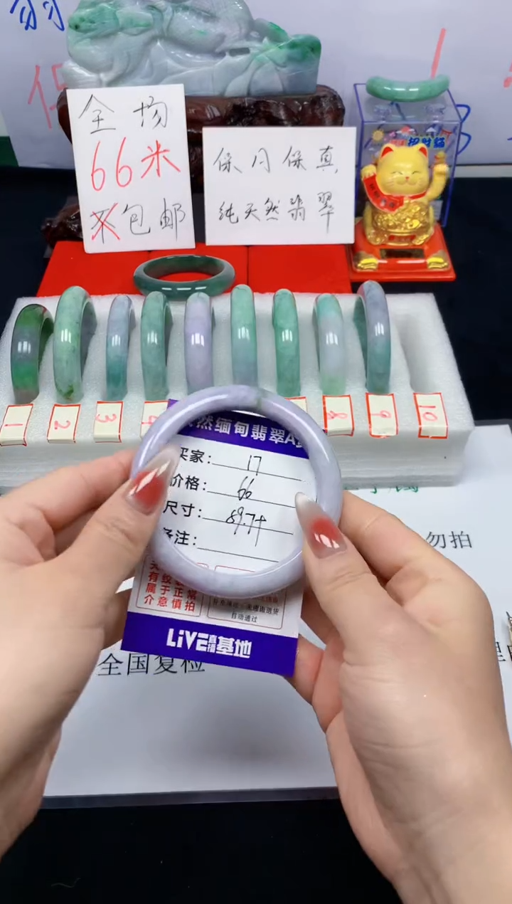 未镶嵌手镯翡翠17