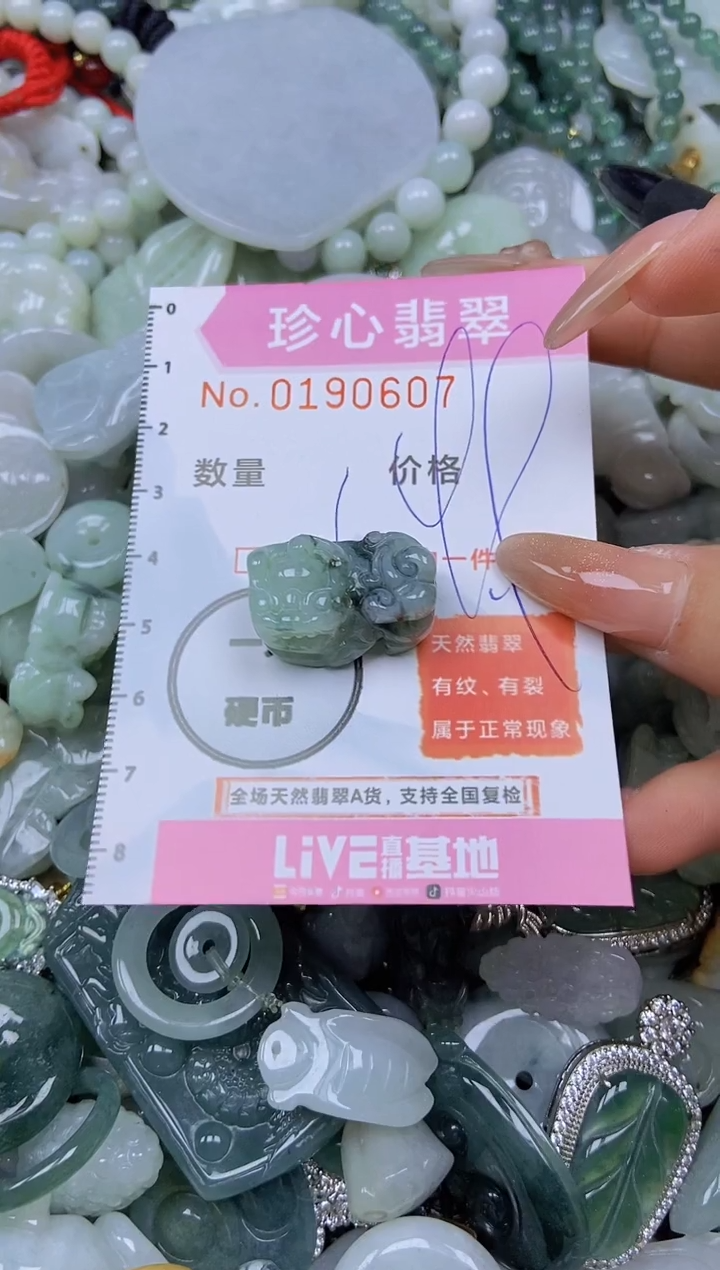 翡翠未镶嵌颈饰闪购链接0190607