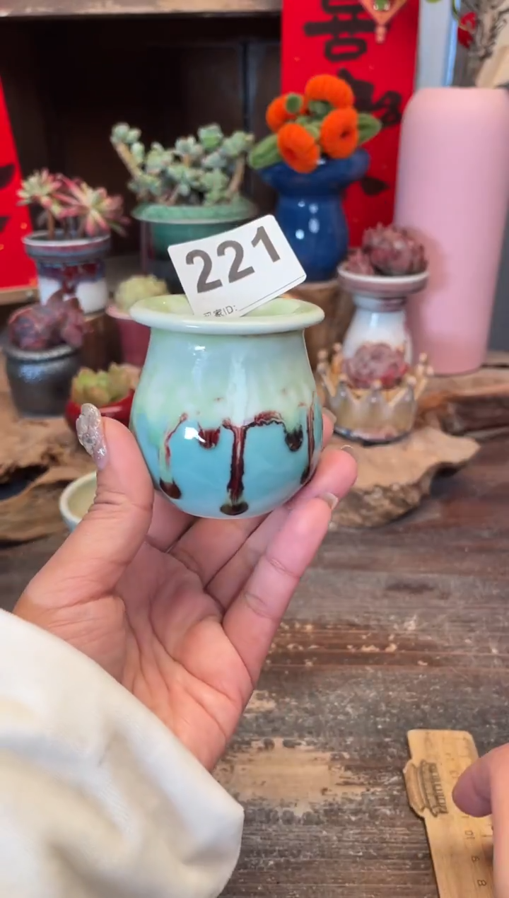 【闪购商品】摆件221知木小芳花盆