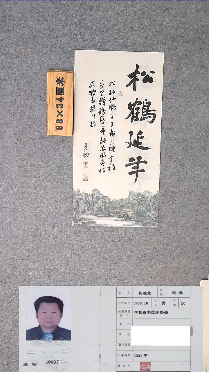 书法龙老师精品书法纯手写 湖北