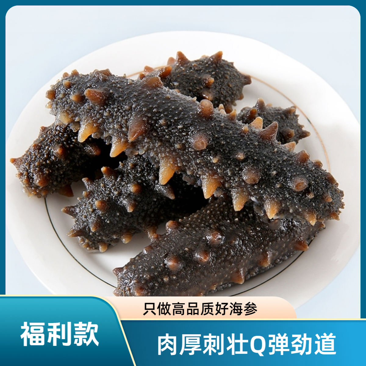渔舫鲜（中秋福利）鲜蒸即食海参 7-8头 Q弹劲道 深海佳品