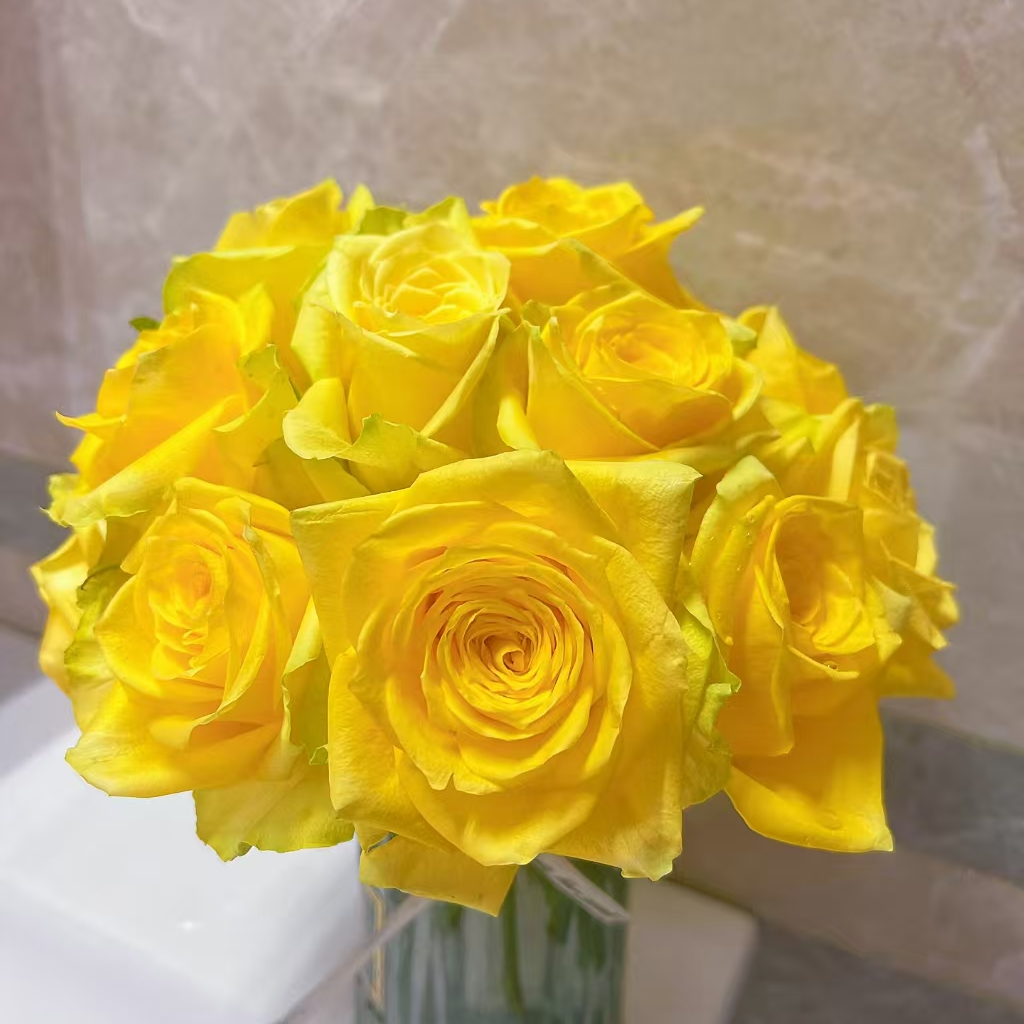 【浪漫沙滩单头玫瑰】全场一单顺丰/德邦/两单加保鲜剂和配草