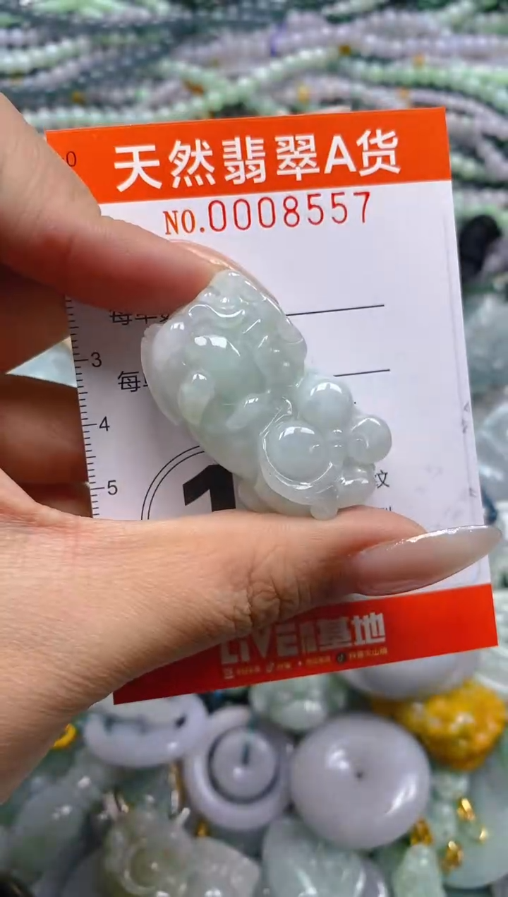 颈饰未镶嵌翡翠闪购0008557