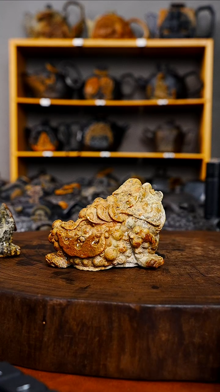 蛇*茶宠冰碛岩石头