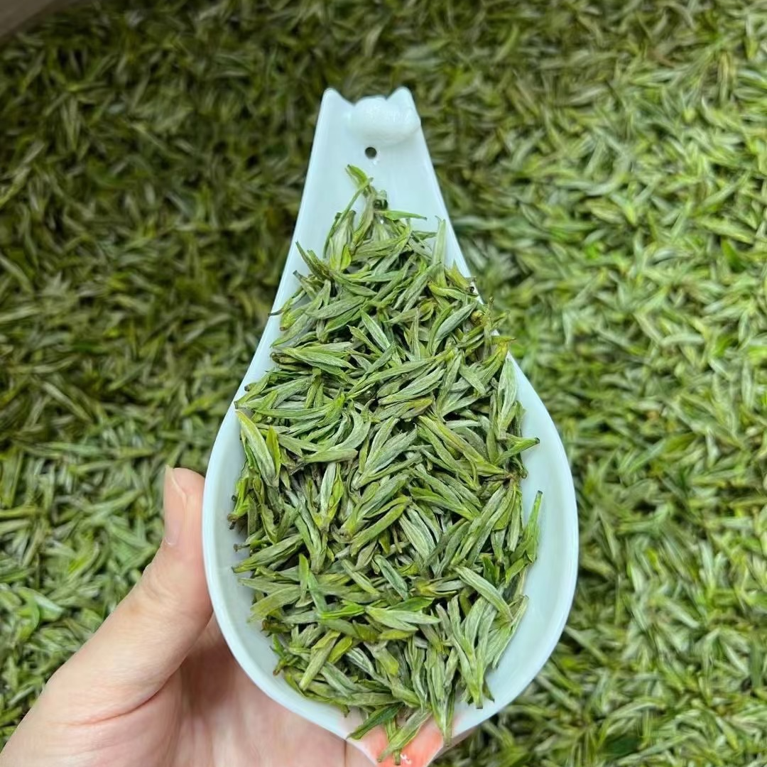 源头厂家直销   2025年新茶明前高山小兰花