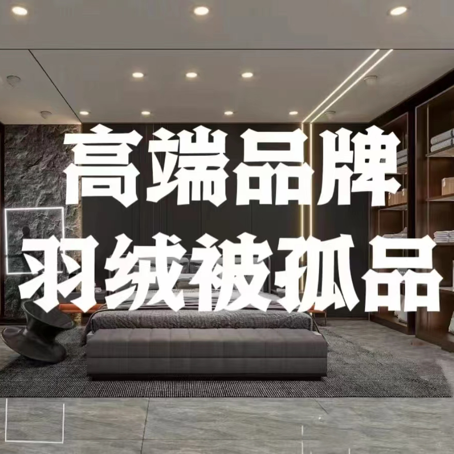 【孤品】酒店同款高端白鹅保暖冬被 加厚款静音不跑绒轻盈被子被芯