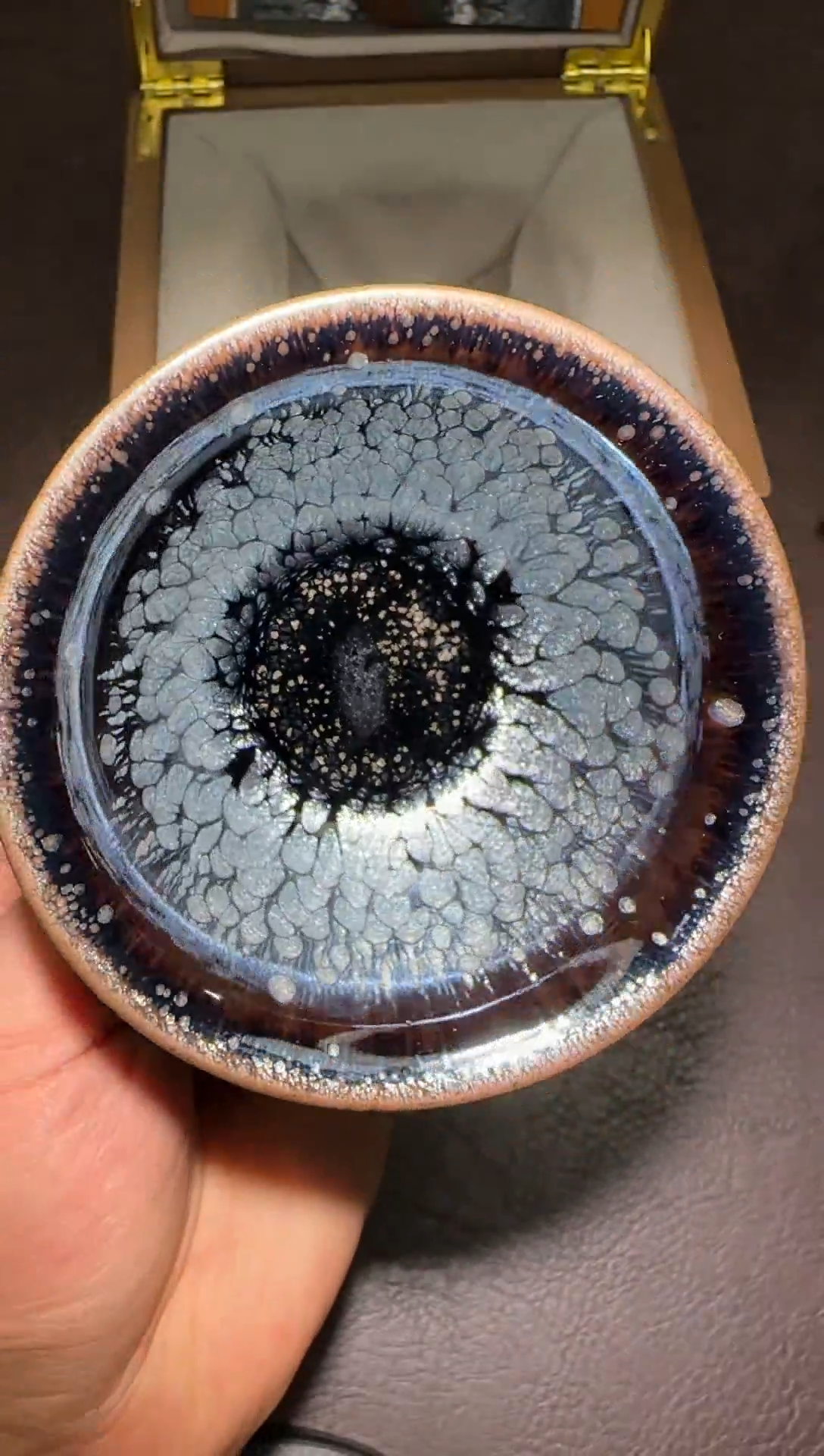 茶盏289号林健锋牡丹