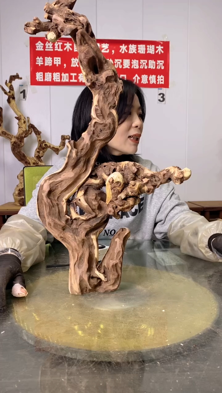 【闪购商品】香榧木28金丝红木 羊蹄甲 