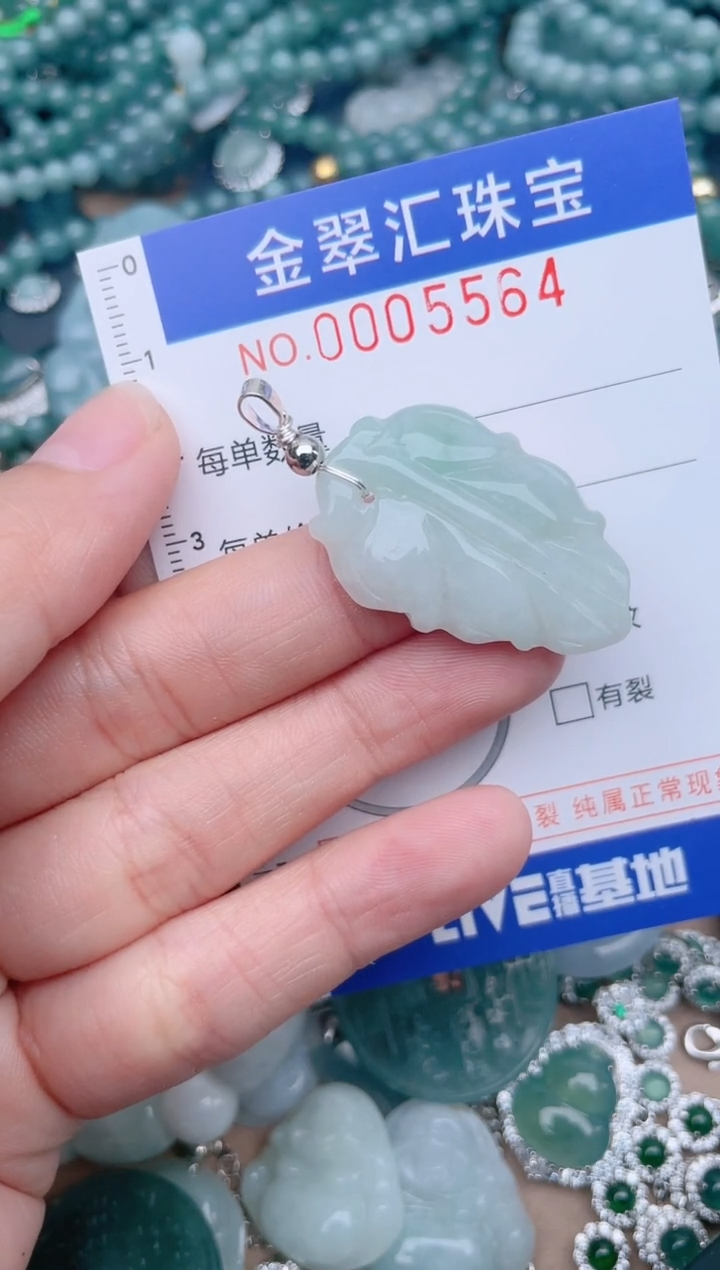 翡翠未镶嵌颈饰5564........1
