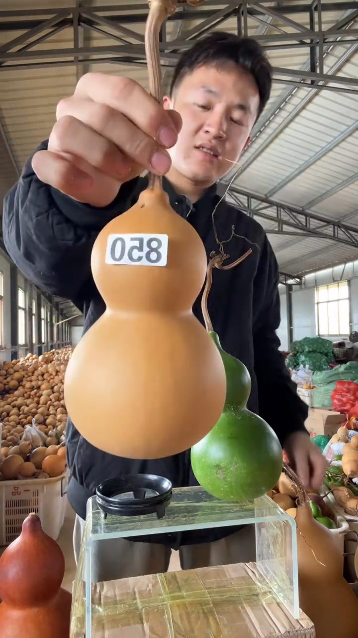 无花朵850天然葫芦摆件 一物一拍龙头不保售后有瑕疵