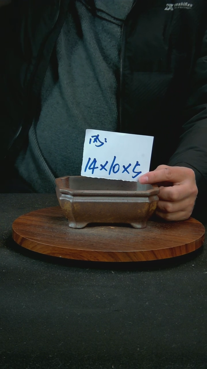 【闪购商品】紫砂Q98