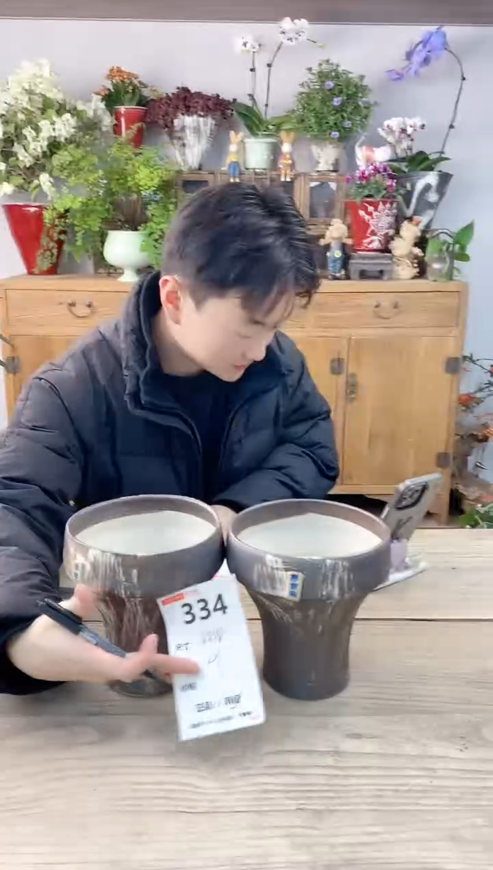 小玩子花盆直播编号334