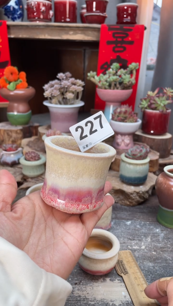 【闪购商品】摆件227知木小芳花盆