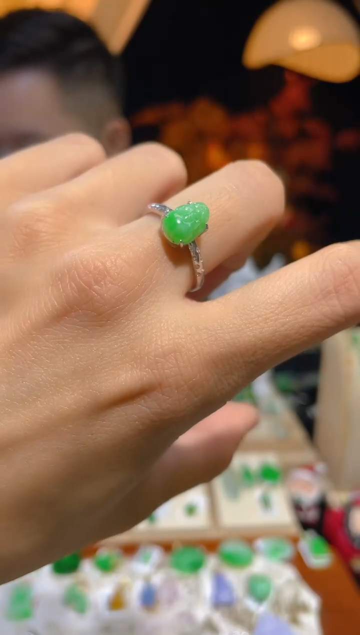 【闪购商品】翡翠颈饰未镶嵌假一赔三