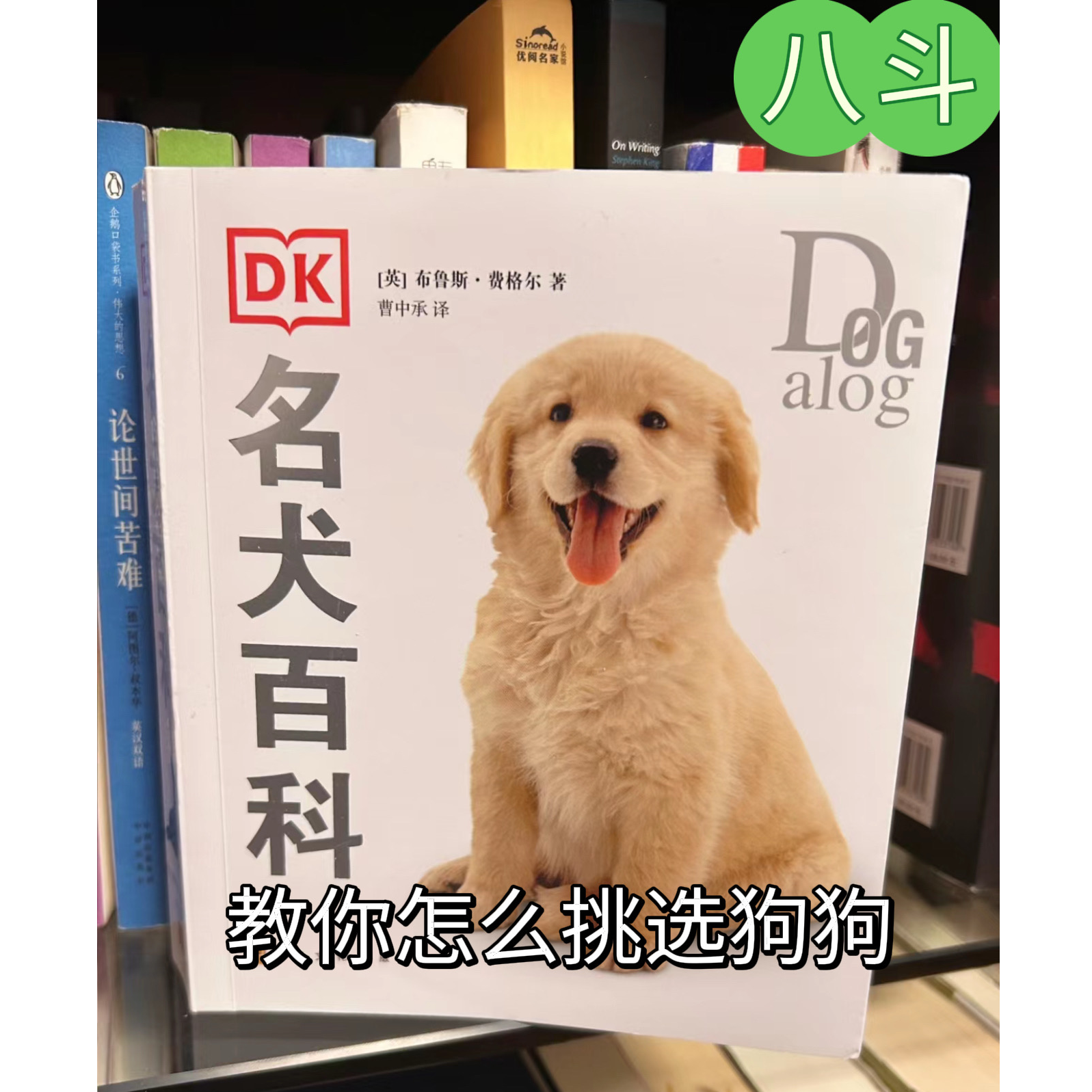 八斗教你如何挑选狗狗