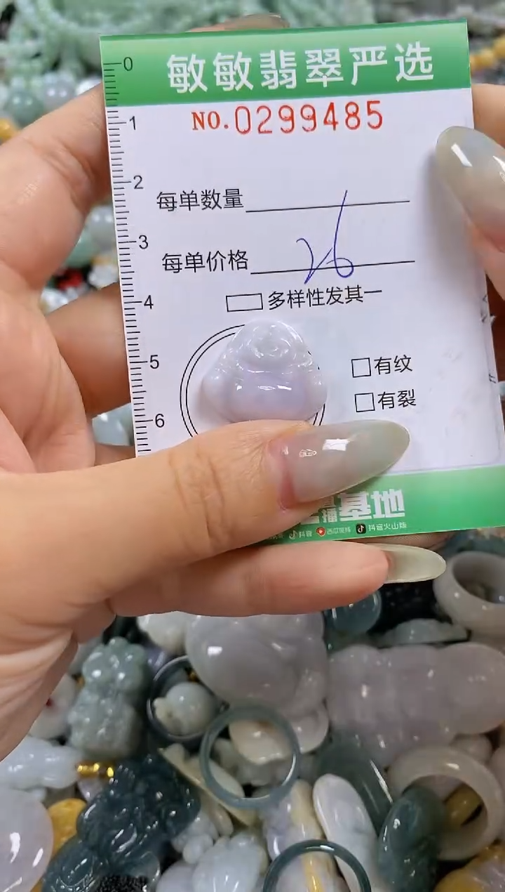 翡翠未镶嵌颈饰闪购0299485