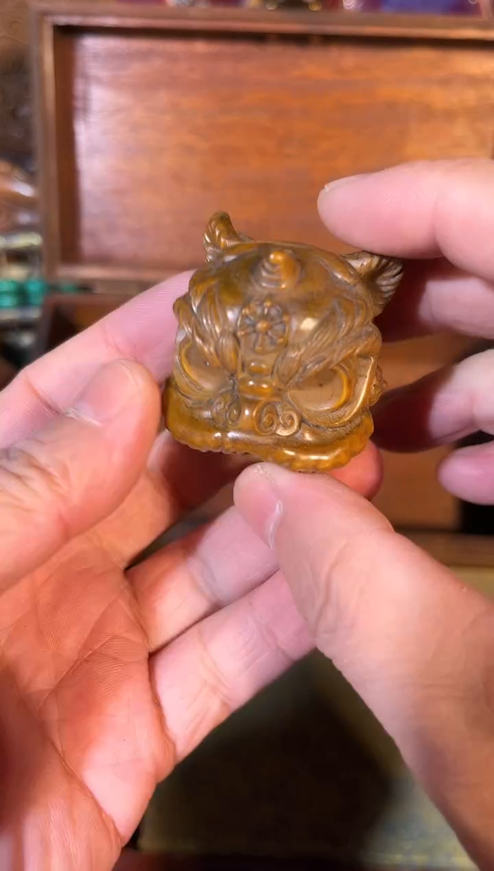 黄杨木111111111111111111