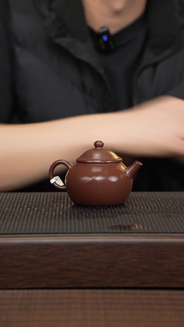 【闪购商品】紫砂茶壶源头精品手工作品30121