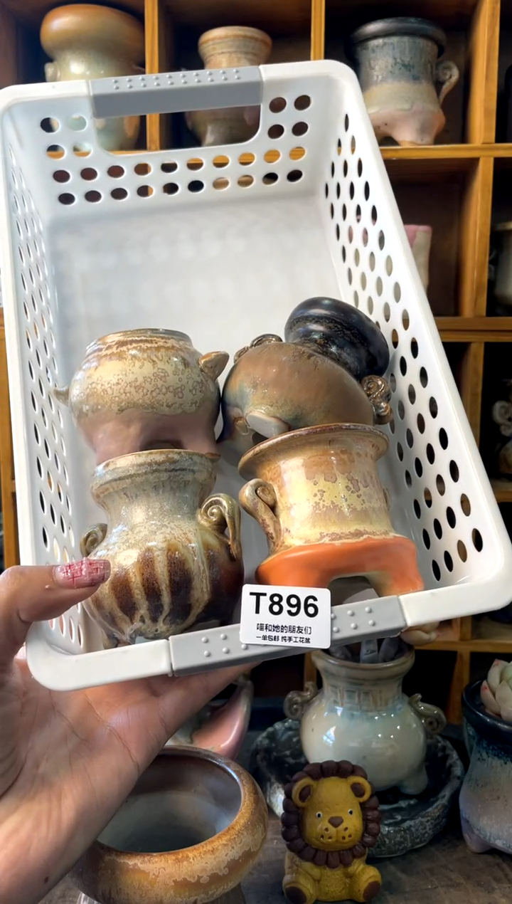 别****彩896【多肉花盆多肉盆】